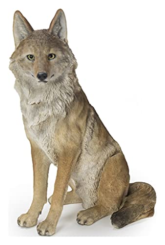 Hi-Line Gift Ltd. Sitting COYATE Statue Brown