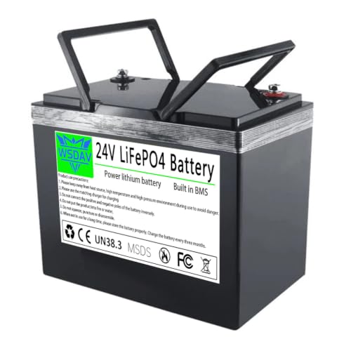 WSDAV 24 Volt LiFePO4 Battery 24V Lithium Iron Phosphate Battery
