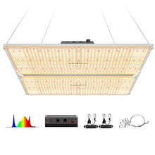 Spider Farmer SF4000 LED Grow Lights for Indoor Plants in 4x4 Grow Tent