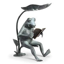 Reading Frog Birdfeeder with Solar LED Light