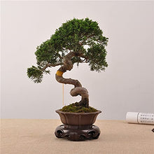 YYBOES Potted Plant Standing Supports Round Carved Base Wooden Vase Base Wooden Bracket for Flowerpot Teapot Statue Base Bonsai Base Display Stand Plant Container Base