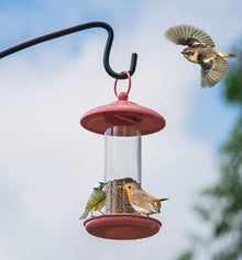 Feilx Outdoors Hanging Bird Feeders, Metal Wild Bird Feeder for Outside, Garden Bird Feeder with Transparent Housing