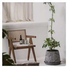 thalo Planter Pots Creative Cement Flowerpot Living Room Personalized Flowerpot Home Simple Indoor Large Diameter Thickened Flowerpot Plant Container Accessories (Size : Small)