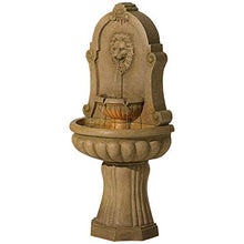 Royal Savanna Lion 58" High Indoor - Outdoor Floor Large Fountain