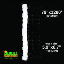 (x20) HORTOMALLAS Professional Grade Vegetable Support Trellis Netting Roll/Scrog Net Roll, 6-Feet and 7 Inches by 3280-Feet (79" x3280' / 2m x 1000m) (mesh 5.9"x6.7" / 15cm x 17cm)