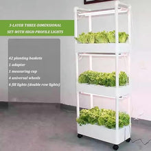 FLTRGO Herb Garden kit,hydroponic Growing Kits & Systems,Hydroponics Tower with LED Grow Light,Indoor Garden hydroponic Growing System,for Herbs, Fruits and Vegetables.