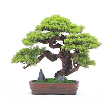 YXIANG56Q Fake Plants Simulation Bonsai Fake Green Plants Potted Plants Office Study Chinese Decorative Ornaments Hotel High-Grade Furnishings Bonsai Tree