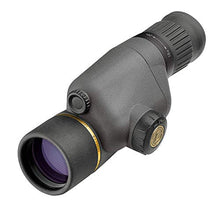 Leupold GR 10-20x40mm Gold Ring Compact Spotting Scope Shadow Gray