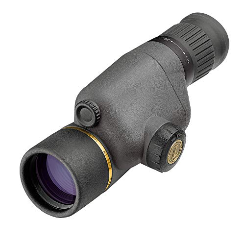 Leupold GR 10-20x40mm Gold Ring Compact Spotting Scope Shadow Gray