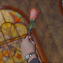 blue-ther Color Changing Rose Magic Trick Red to White