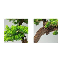 YXIANG56Q Fake Plants Artificial Bonsai Tree Faux Plants with Ceramic Pots for Living Room Decorations Bonsai Tree