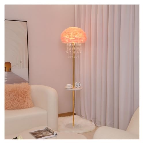ZHONGCHENGWU Floor Lamp Feather Floor Lamp with Side Table, 63" Romantic Lighting for Living Room(Pink)
