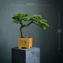 LSHAOBO Artificial Bonsai Tree Simulation Welcome to Tree Hotel Office Tea Several Live Hall Extreme Decoration (Color:C)