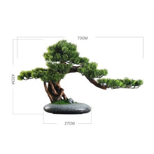 HCZKIUJ Bonsai Bonsai Ornaments Green Potted Plants Indoor Decorations Simulation Pine Tree Decoration High-Grade Chinese Decorations Plant