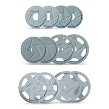 Bells of Steel Cast Iron Weight Plates Mighty Grip Olympic Weight Plates Gray
