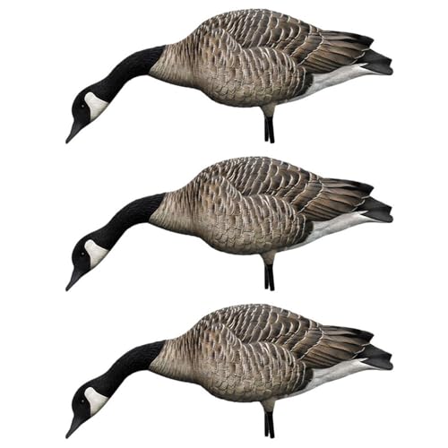 Avian-X AXP Honkers Canada Goose Decoy Pack with Flocked Heads and Realistic Paint, 4 Feeders + 2 Walkers