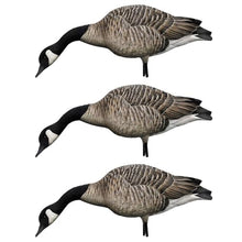 Avian-X AXP Honkers Canada Goose Decoy Pack with Flocked Heads and Realistic Paint, 4 Feeders + 2 Walkers