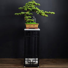 YXIANG56Q Fake Plants Indoor Fake Tree Bonsai Home Greenery Bonsai Ornaments Feng Shui Ornaments Artificial Pine Tree Bonsai Bonsai Tree