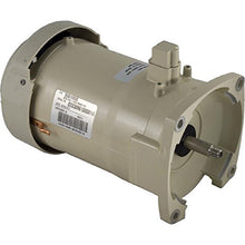 Pentair IntelliFlo Variable Frequency Drive Motor Replacement Almond