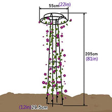SDdPulse Large Garden Obelisk Climbing Plant Support Frame, Outdoor PatioGarden Arbor for Various Climbing Plant Lawn Backyard, 55 * 205cm