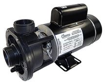 Waterway Plastics 3420820-15 48-Frame Spa Pump