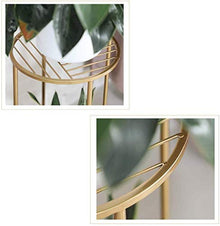 RWGOVLU Plant Stand Iron Art Outdoor Garden Floor-Standing Plant Stand Flower Stand Flower Pot Stand Flower Stand With 2 tiers Indoor Balcony Flower Stand