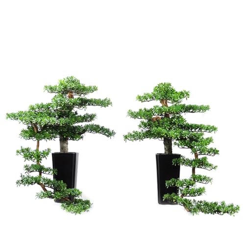 QWERAXZG Bonsai Plant Simulation Sample Room Root Carving Welcome Pine Decoration