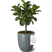 Emissary Home and Garden 27.5 in. Soft Blue Ceramic Round Planter (27.5 in. L x 27.5 in. W x 33.5 in. H) with Drainage Hole
