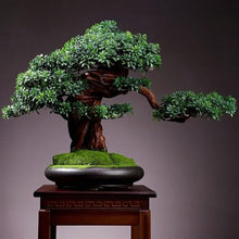 YXIANG56Q Fake Plants Living Room Simulation Plant Bonsai Indoor Greenery Potted Plants Large Fake Tree Desktop Landscape Decoration Ornaments Bonsai Tree