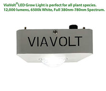 Viavolt Grow Light, 6500K Full Spectrum, Cree COB LED, 65 Watts,12,000 Lumens