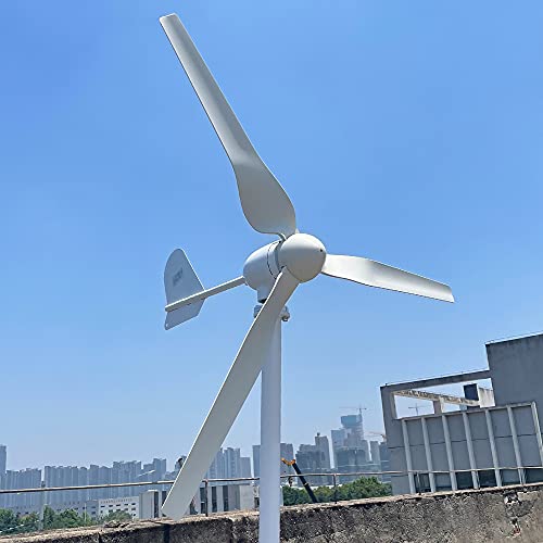 1000w Wind Power Turbine 12v 24v 48v Generator With Controller Free Energy For Homeuse High Efficiency (24V with Controller)