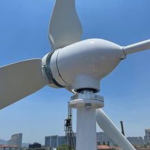 OLONETO 800W 12V 48V 24V Horizontal Wind Generator Kit with MPPT Controller Alternative Energy Generator Free Energy Windmill (Color : 48v)