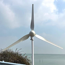 NINILADY 3000W 48V Wind Turbine Generator with Hybrid MPPT Controller 3KW Permanent Magnet Generator for Homeuse 3 Blades Free Energy Windmill (with MPPT Controller)