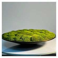 ZHONGCHENGWU Plant Saucers Round Iron Art Flower Containers, Retro Flower Arranging Landscaping Saucer(Large)
