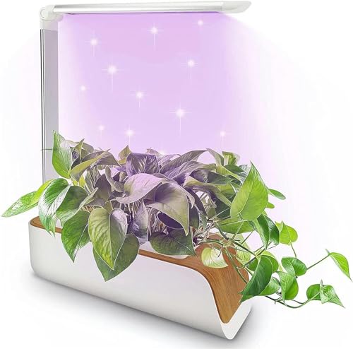 BTURYT Full System of Hydroponic Culture, Plants Lights, Water Level Indicator, Adjustable Height, Interior Cultivation Kit, Gardening, Hydroponic Succulents