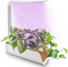 BTURYT Full System of Hydroponic Culture, Plants Lights, Water Level Indicator, Adjustable Height, Interior Cultivation Kit, Gardening, Hydroponic Succulents
