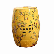 ECOLFE Garden Stool, Flower and Bird Ceramic Drum Stool，Garden Decorative Stool, Suitable for Garden, Patio, Lawn,Home Indoor & Outdoor