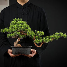 YXIANG56Q Fake Plants 24'' Large Artificial Bonsai Tree in Ceramic Pot, Potted Fake Greenery Plants Decoration for Home Office Living Room Bonsai Tree