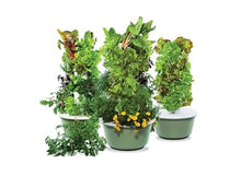 Tower Garden Family Bundle