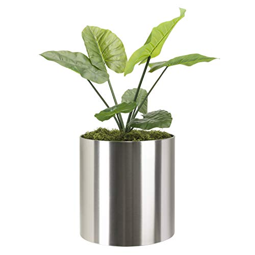 NMN Designs Stainless Steel Metal Planter - Modern Round Indoor Outdoor Pot 18" x 18" - Tall Contemporary Cylinder, Architectural Floor/Table Plant Pot - Galvanized, Gold, Sphere - Brushed