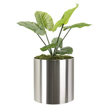 NMN Designs Stainless Steel Metal Planter - Modern Round Indoor Outdoor Pot 18" x 18" - Tall Contemporary Cylinder, Architectural Floor/Table Plant Pot - Galvanized, Gold, Sphere - Brushed