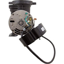 Waterway Plastics PH1100 Hi-Flo 1 hp Above Ground Pool Pump and Trap