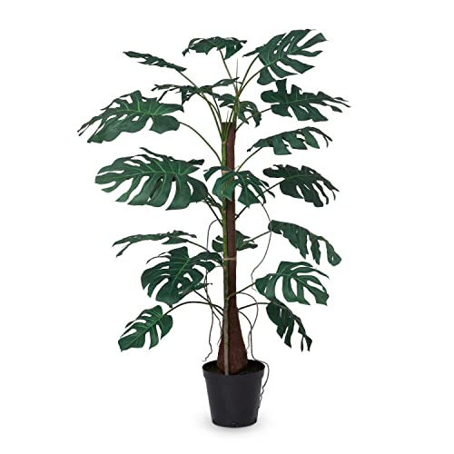 Park Hill Collection Climbing Giant Monstera Plant Green