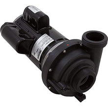 Balboa Water Group 6500-343 2-Spd 2.5HP 230V 60Hz OEM Pump