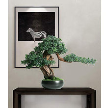 YXIANG56Q Fake Plants Welcome to the Real New Living Room Hotel Home Jewelry Green Plant Pot Potted Soft Root Carving Biser Plant Decoration Ornaments Bonsai Tree(C)