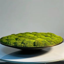OREKPOT Plant Trays Round Iron Art Flower Containers, Retro Arranging Landscaping Saucer，XXXX Large