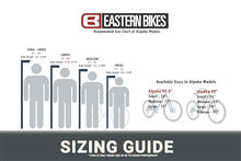 Eastern Bikes Alpaka 29" Mountain Bike Men's Hardtail Grey