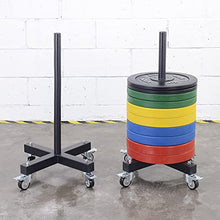 VEITEOX FTY Vertical Weight Plate Rack with Wheels, Olympic 2 Inch Weights Stand
