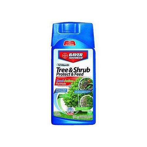 Tree And Shrub Protect And Feed