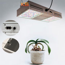 DREAM SPACE 800W LED Grow Light 4x6ft Dimmable UV IR for Indoor Hydroponics